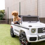 🚗 車の色が下取り価格に与える影響は？人気色と不人気色の特徴を徹底解説！💰