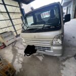 査定してきました！