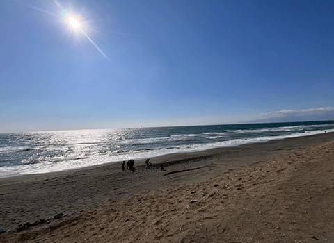買取!カーマッチ湘南平塚店について