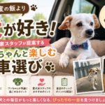 三度の飯より犬が好き！愛犬家スタッフが提案する「ワンちゃんと楽しむ車選び」