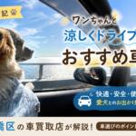 愛犬日記｜ワンちゃんと涼しくドライブできるおすすめ車種は？板橋区の車買取店が解説