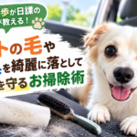 板橋区で愛犬と乗った車を高く売るには？ペットの毛・抜け毛・臭いを落として査定額を守る掃除術