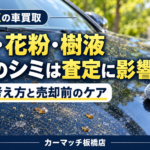 板橋区で車買取｜黄砂・花粉・樹液の焼き付きは査定で減額？塗装ダメージと売却前のケアを解説