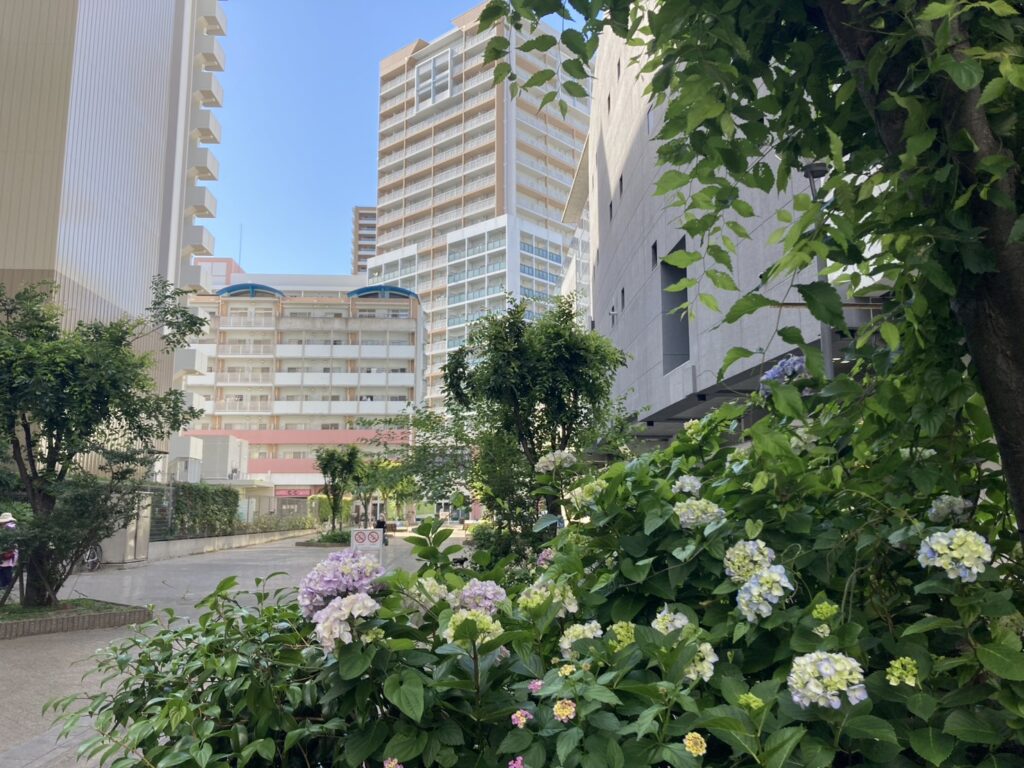 店休日のお知らせ【カーマッチ神戸長田店 2026年6月】
