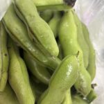 【感謝の差し入れ！】畑で採れた「旬のそらまめ」の美味しい誘惑と、ローン不安に寄り添う「買取カーマッチ広島呉店」の自社ローン