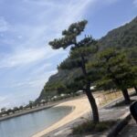 家族でキャンプや海へ！この夏のお出かけにぴったりな中古ミニバン特集｜買取カーマッチ広島呉店