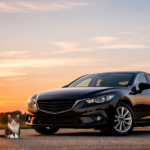 【買取！カーマッチ岐阜美濃加茂店】 2025年もありがとうございました。来年も自社ローン・中古車販売・車買取で地域を支え続けます