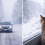 【買取！カーマッチ岐阜美濃加茂店】  雪の日の運転で気をつけたいこととは？──結論「いつも以上に慎重な行動が、事故と損を防ぎます」⛄🚗