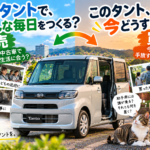 【岐阜県】タントを手放すタイミングは？助手席にある物の変化から考える車買取【買取！カーマッチ岐阜美濃加茂店】