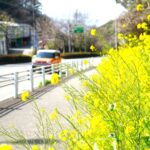 🚗 洗車はとても大切です！愛車を長持ちさせるためのメンテナンス術 🚗