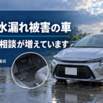 大雨による水漏れ・冠水被害の車買取依頼が増えています｜練馬区・石神井公園