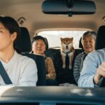 【ペット乗車は減額？】仙台で中古車査定に影響する車内臭の評価基準