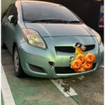 TOYOTA　ヴィッツを買い取りました★