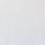 🎨 塗装職人が真剣に考える！「アンミカさんの白200色あんねん」は本当か？白の色